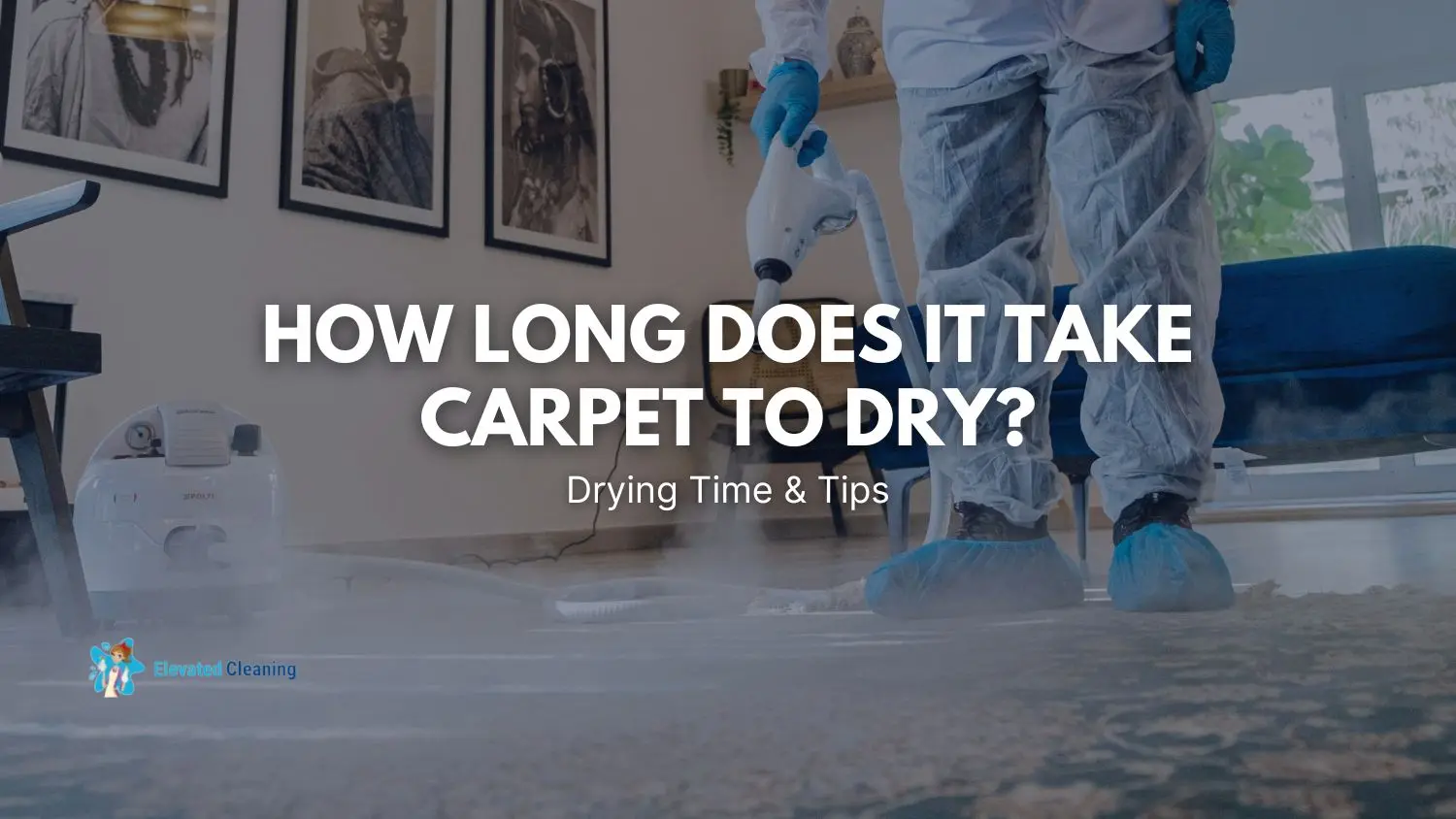 How Long Does It Take A Carpet To Dry? Drying Time & Tips - Elevated ...