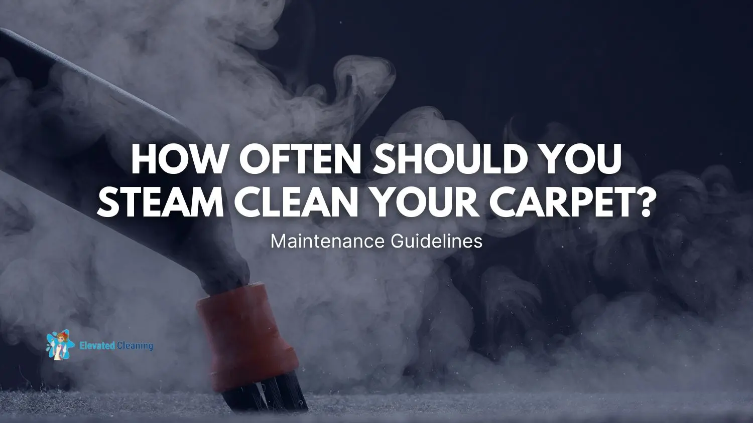 How Often Should You Steam Clean Your Carpet? Maintenance Guidelines