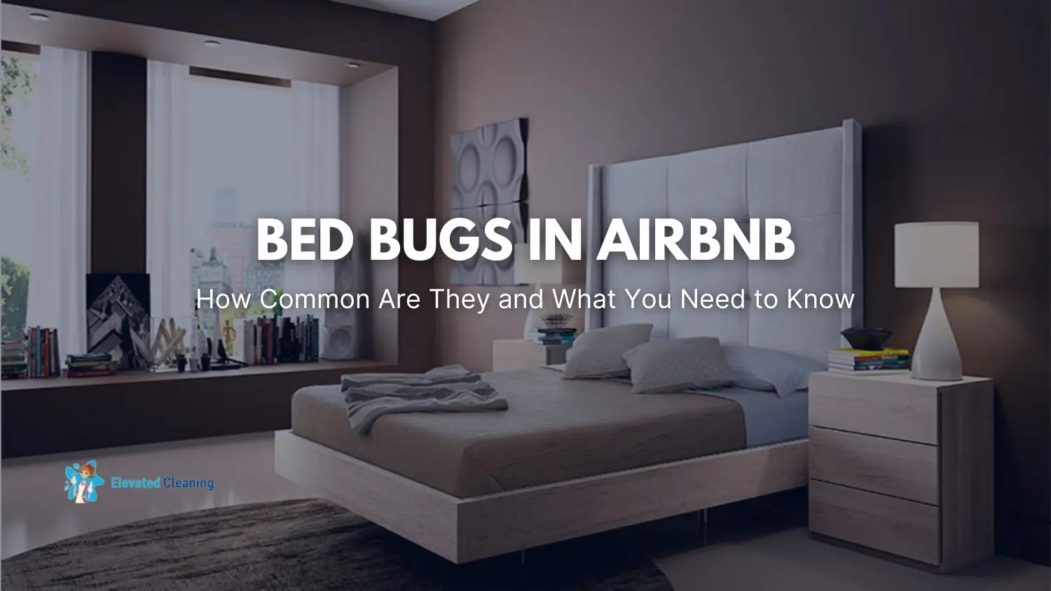Bed Bugs In Airbnb How Common Are They And What You Need To Know Elevated Cleaning Services