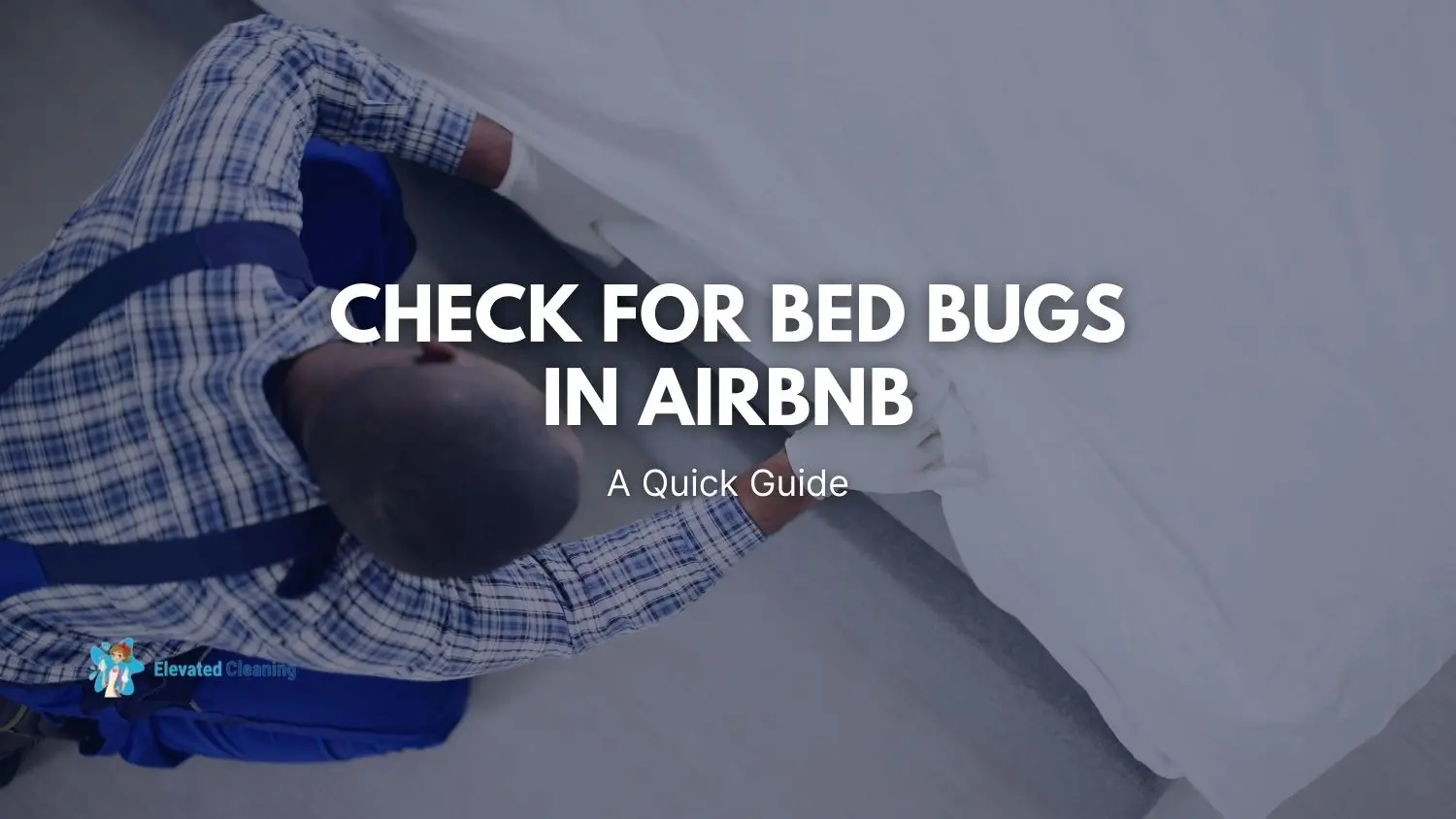 Check For Bed Bugs In Airbnb A Quick Guide Elevated Cleaning Services